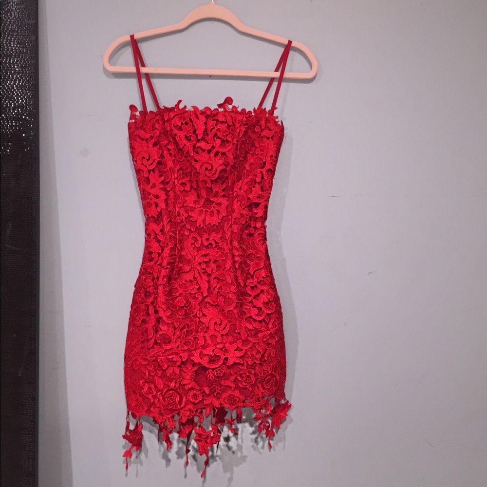 Revolve NBD floral lace dress!!